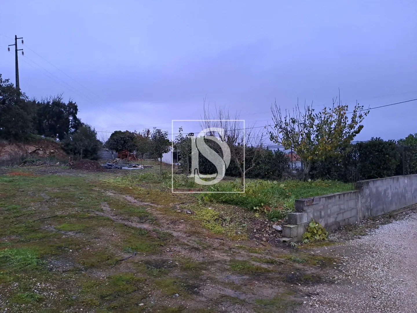 Terreno