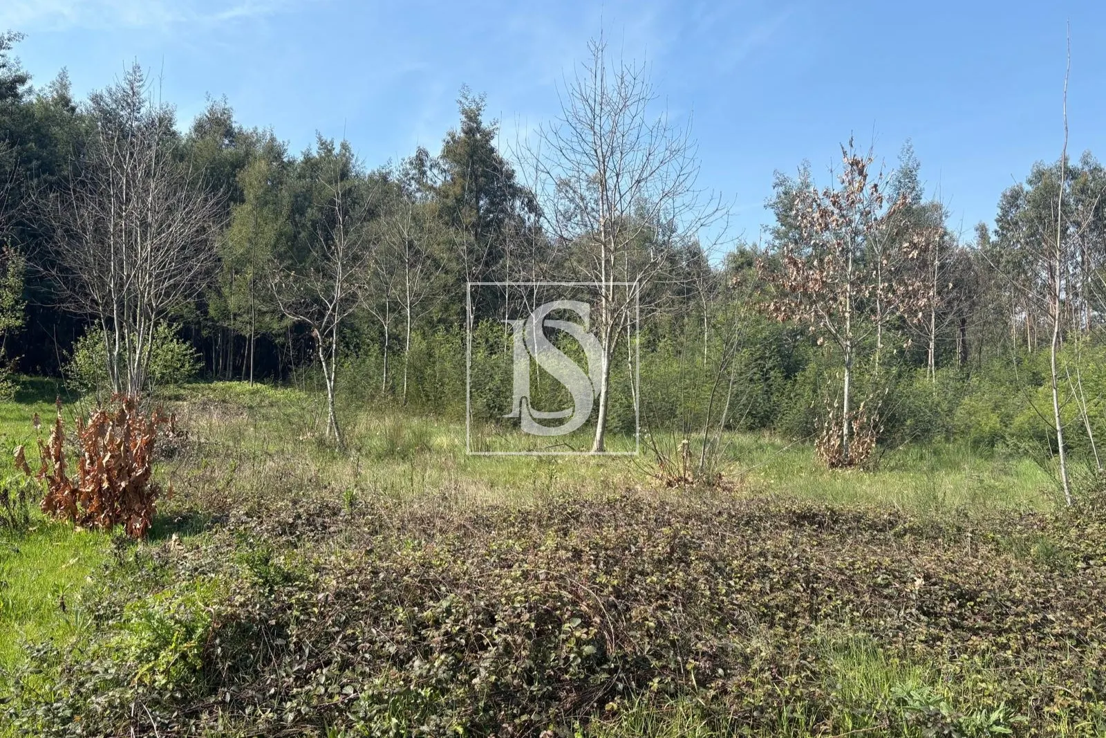 Terreno de 6.980m2 com ruína em Tondela