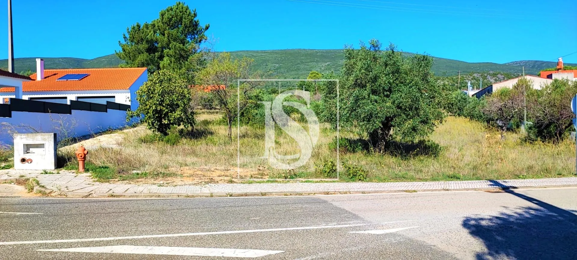 Terreno, Pedrogão, Torres Novas