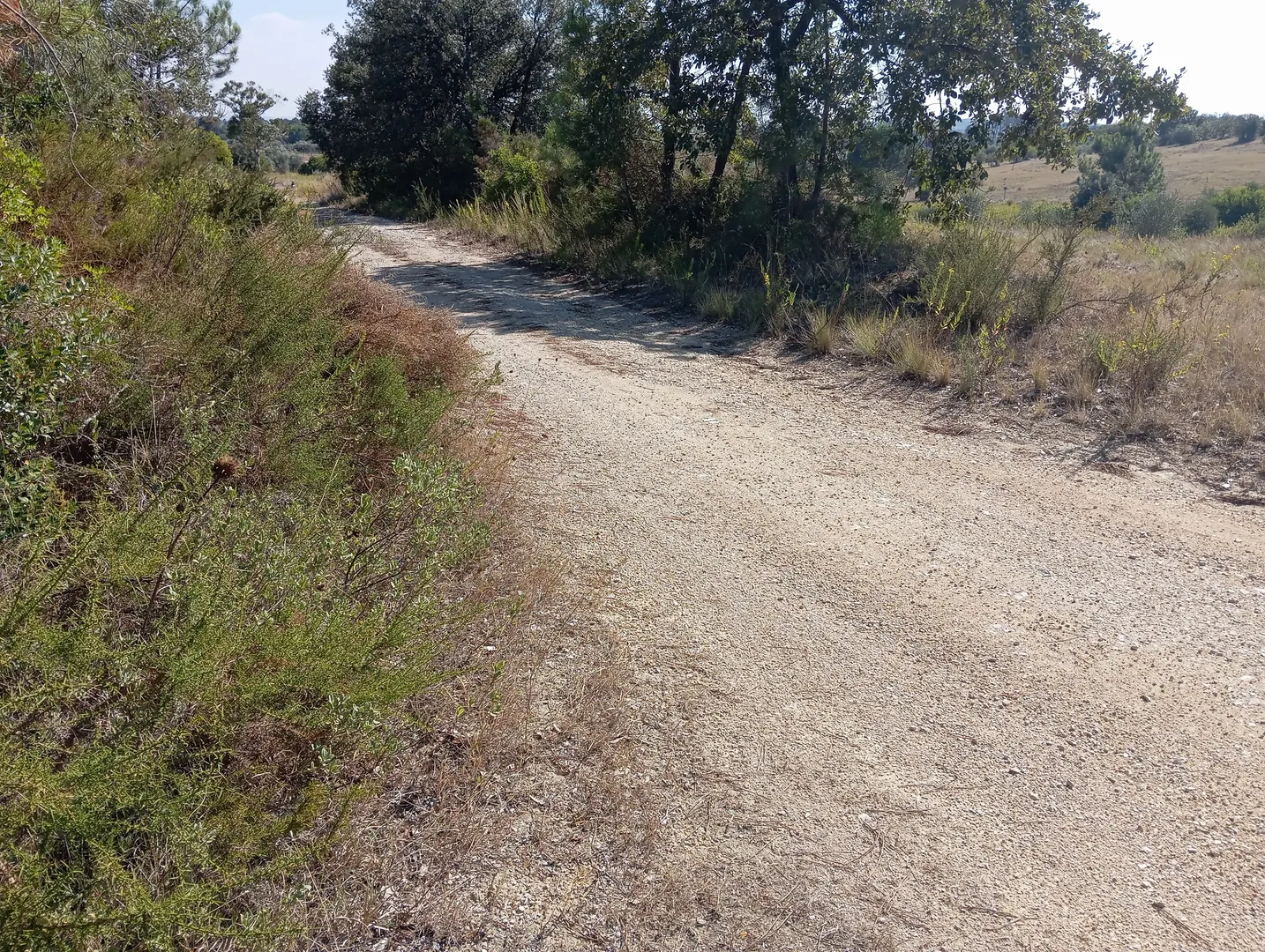 Terreno