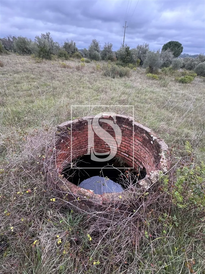 Terreno