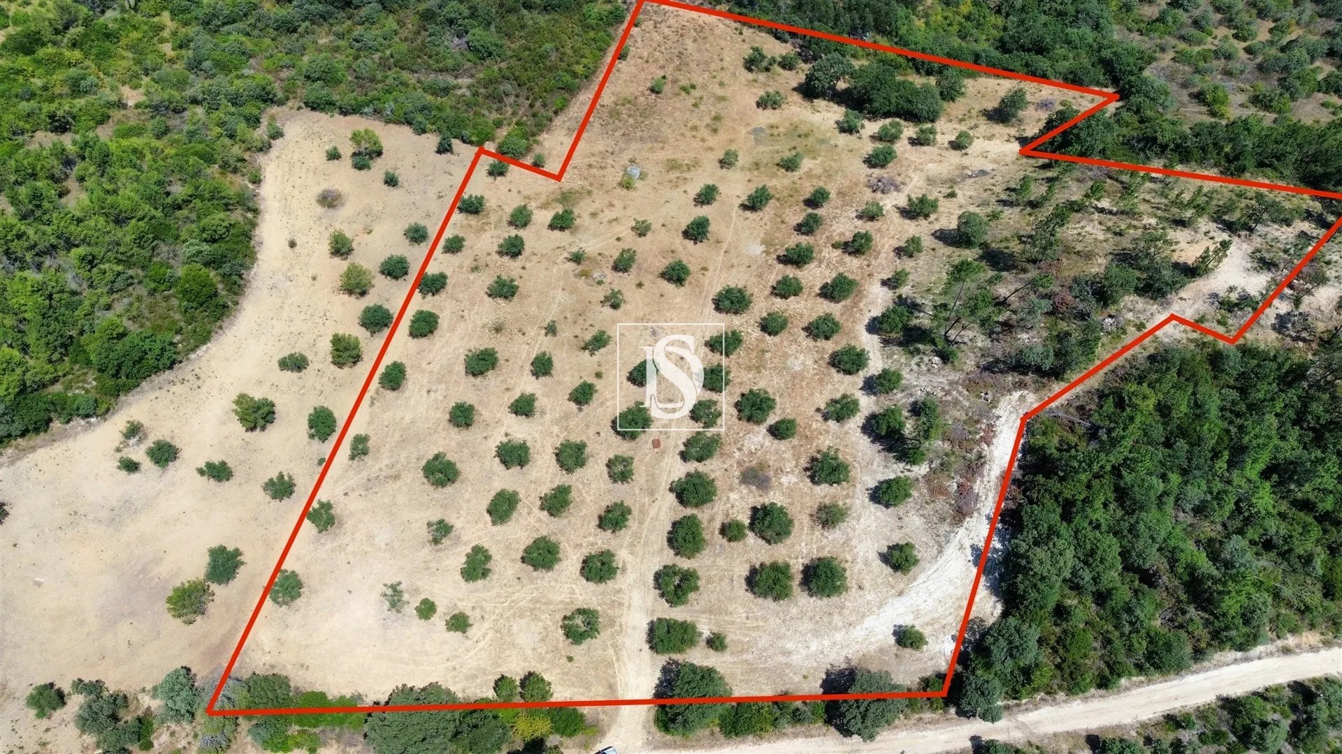 Terreno