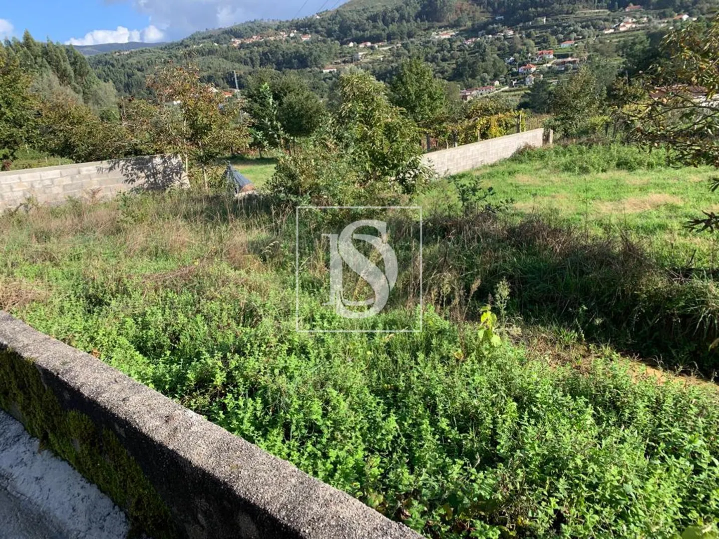 Terreno