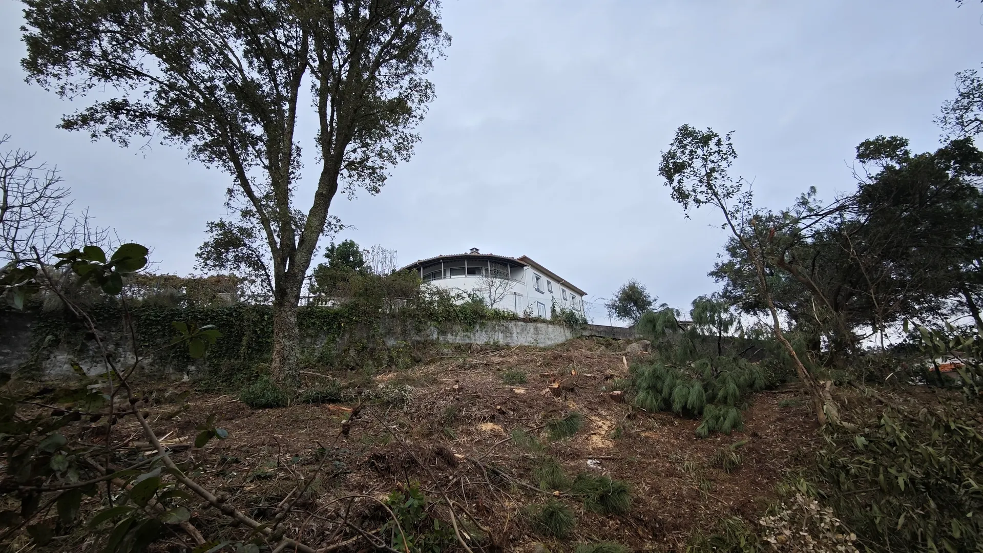 Terreno