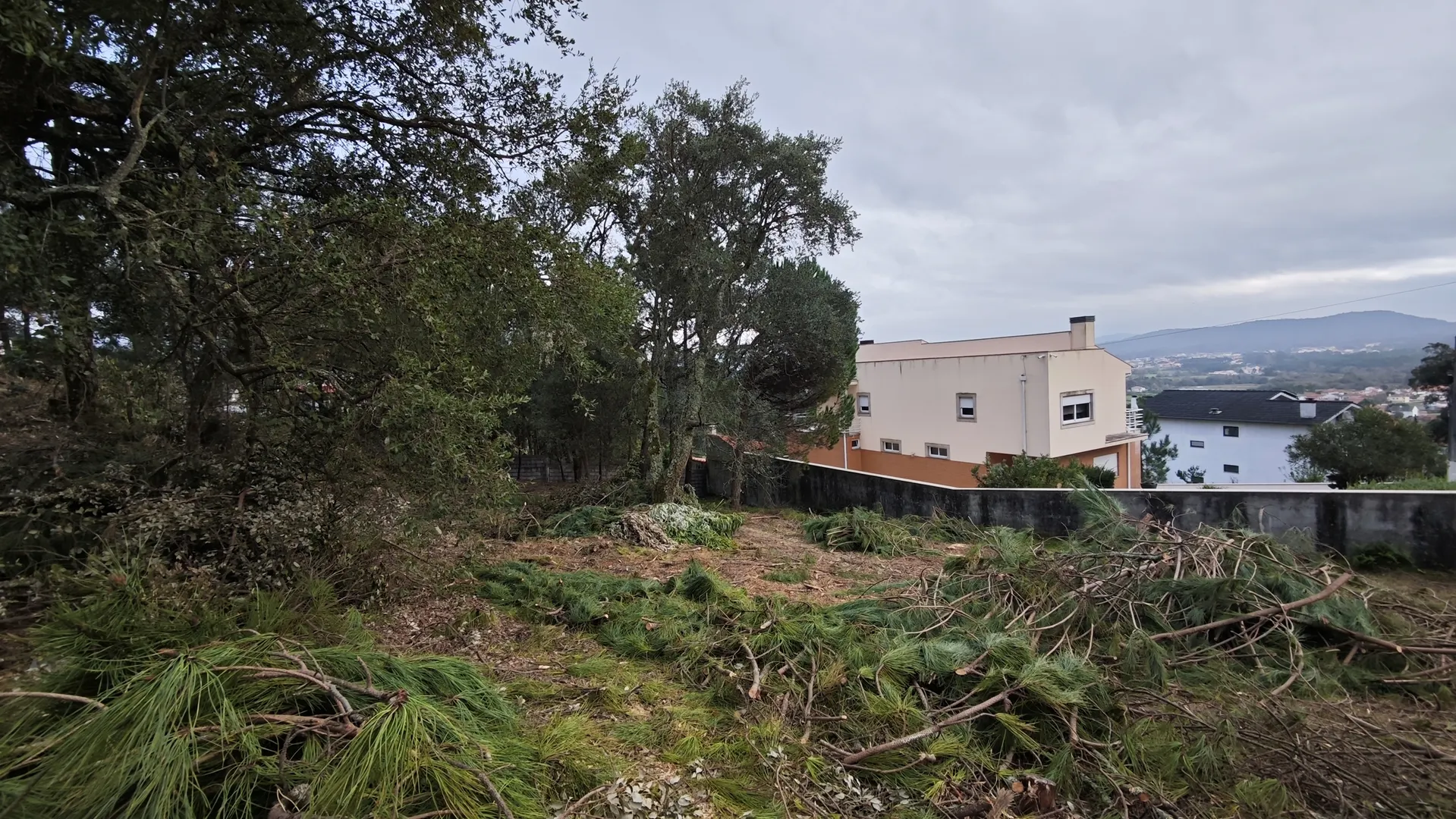 Terreno