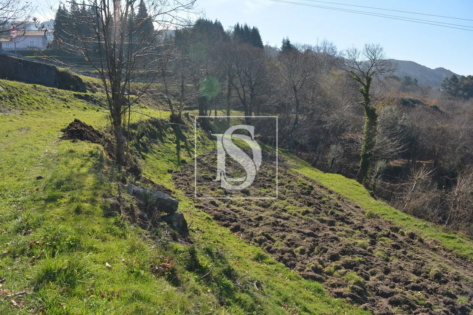 Terreno