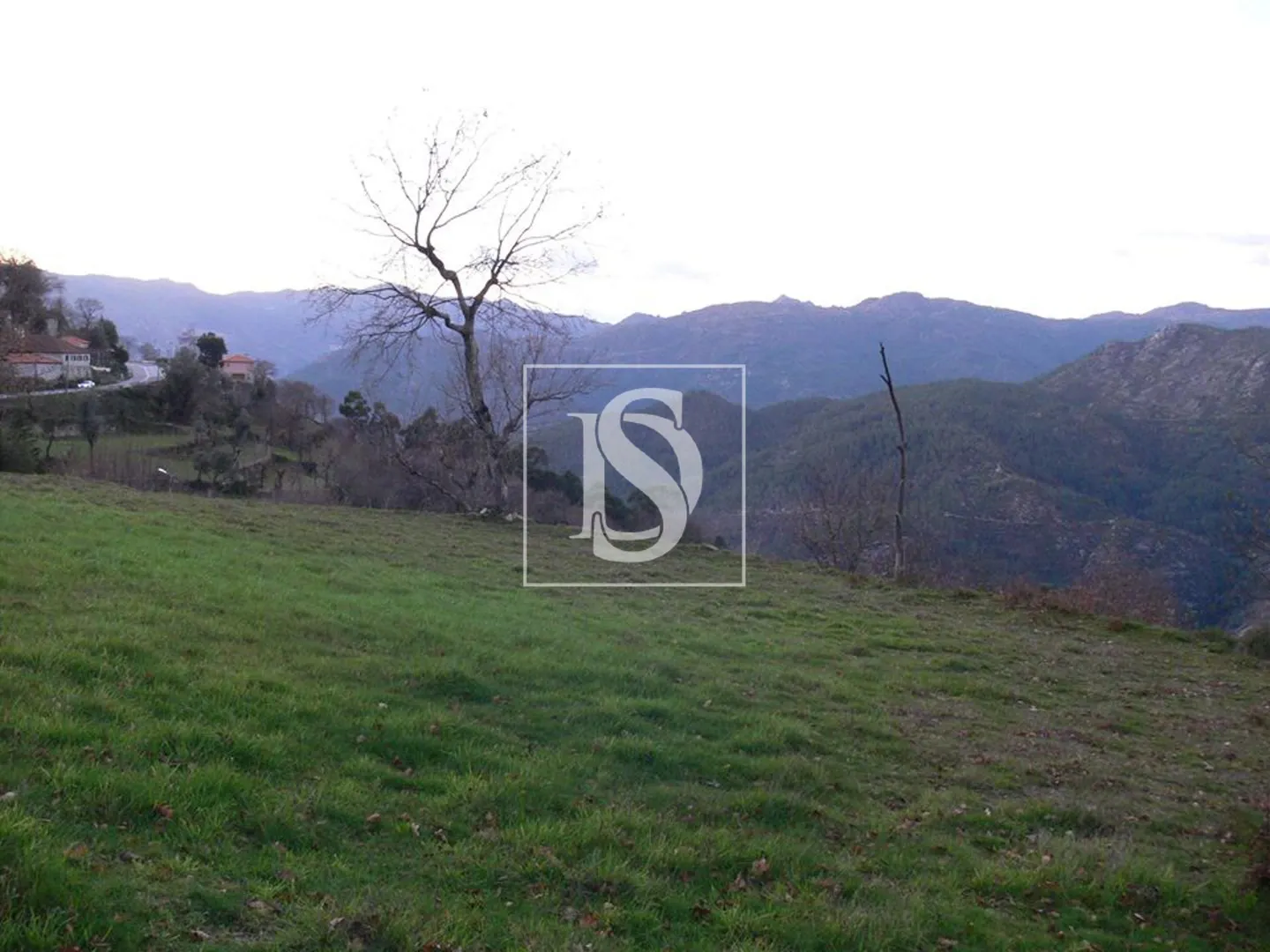 Terreno