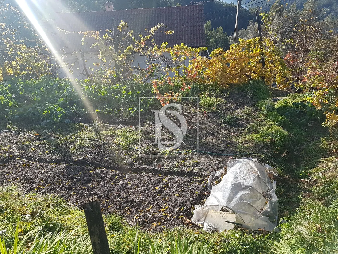 Terreno