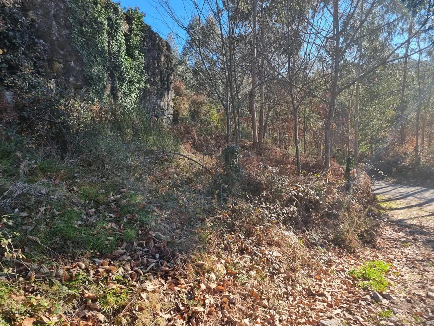 Terreno
