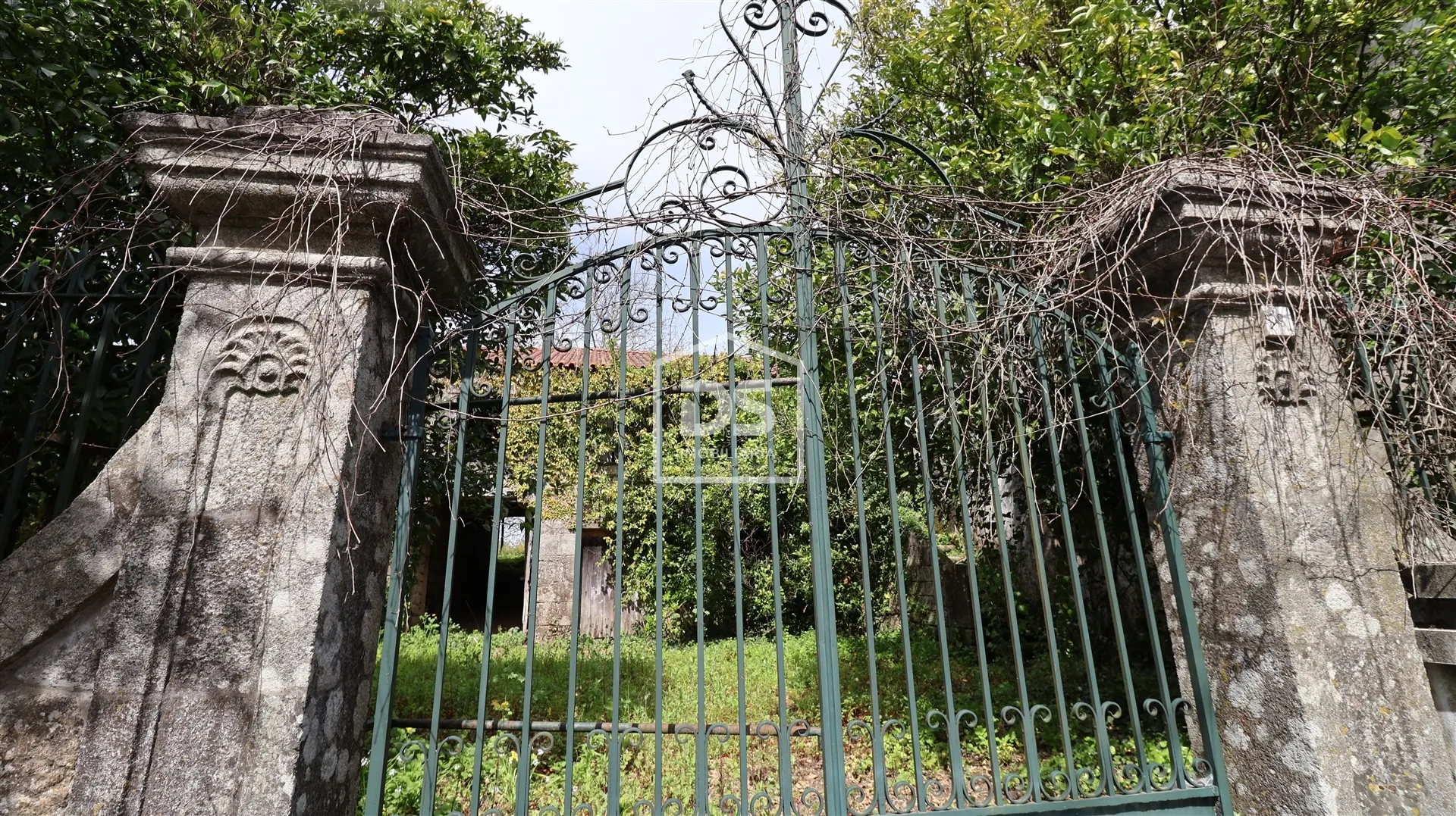 Farm with 4 hectares Viseu - Urbanizable Land and Manor House