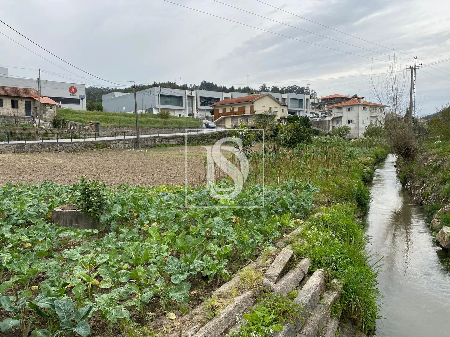 Terreno