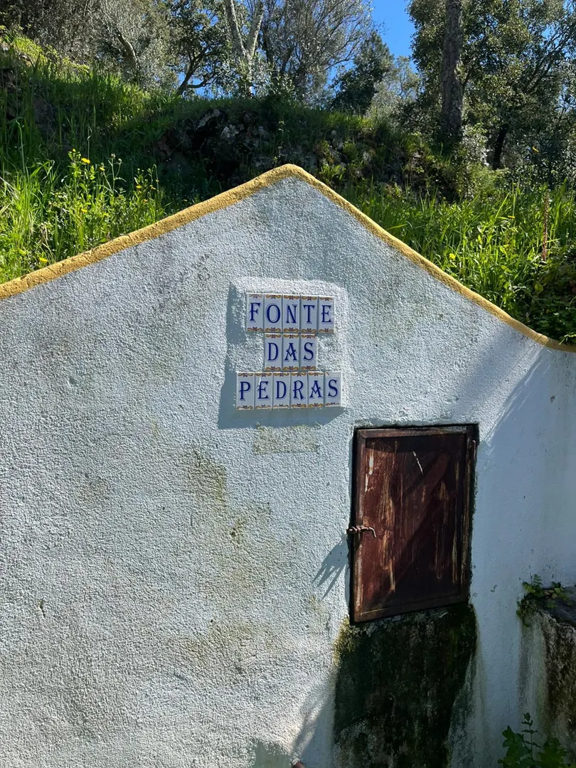 Moradia para Restaurar T3