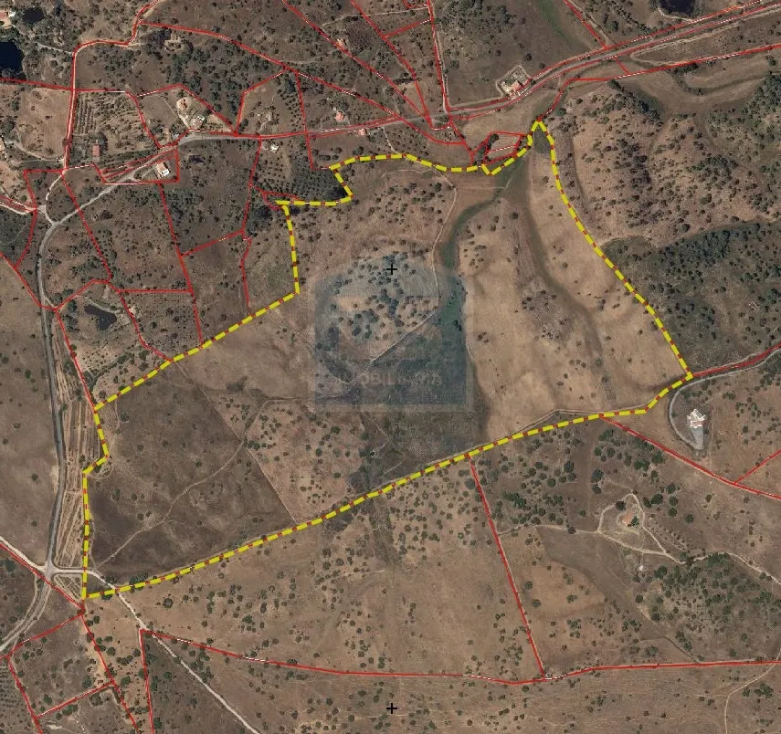 Mixed Real Estate T4