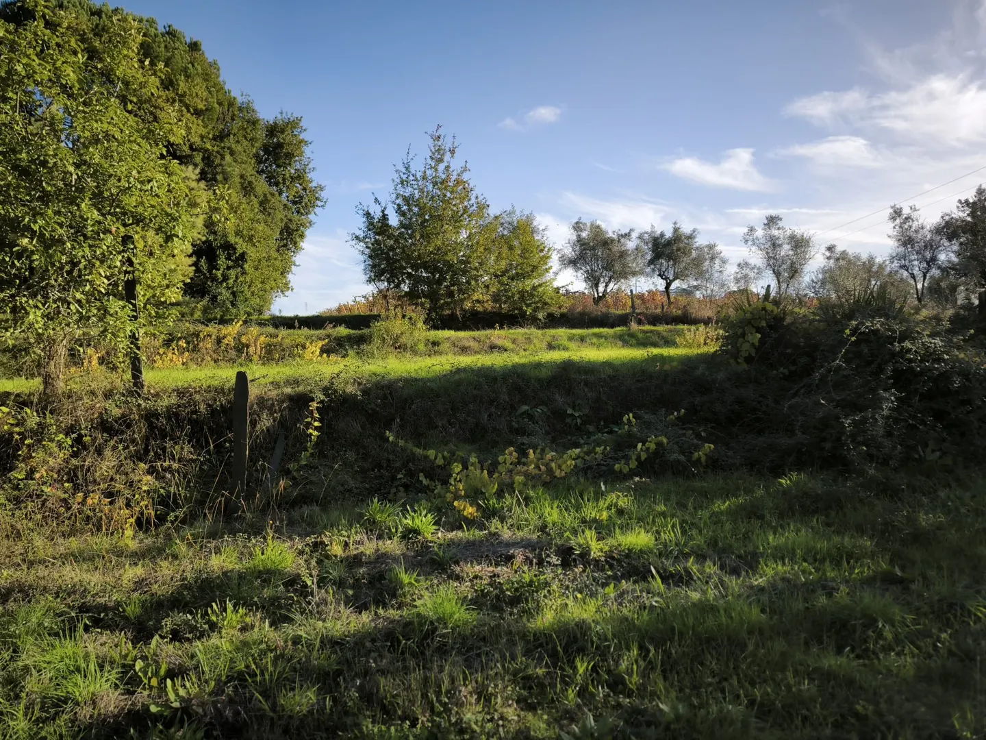 Terreno