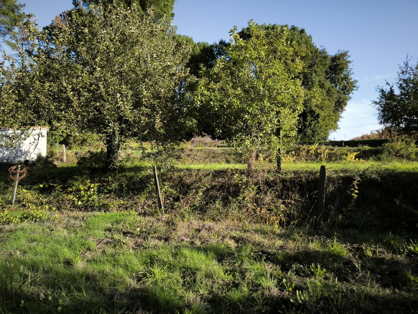 Terreno