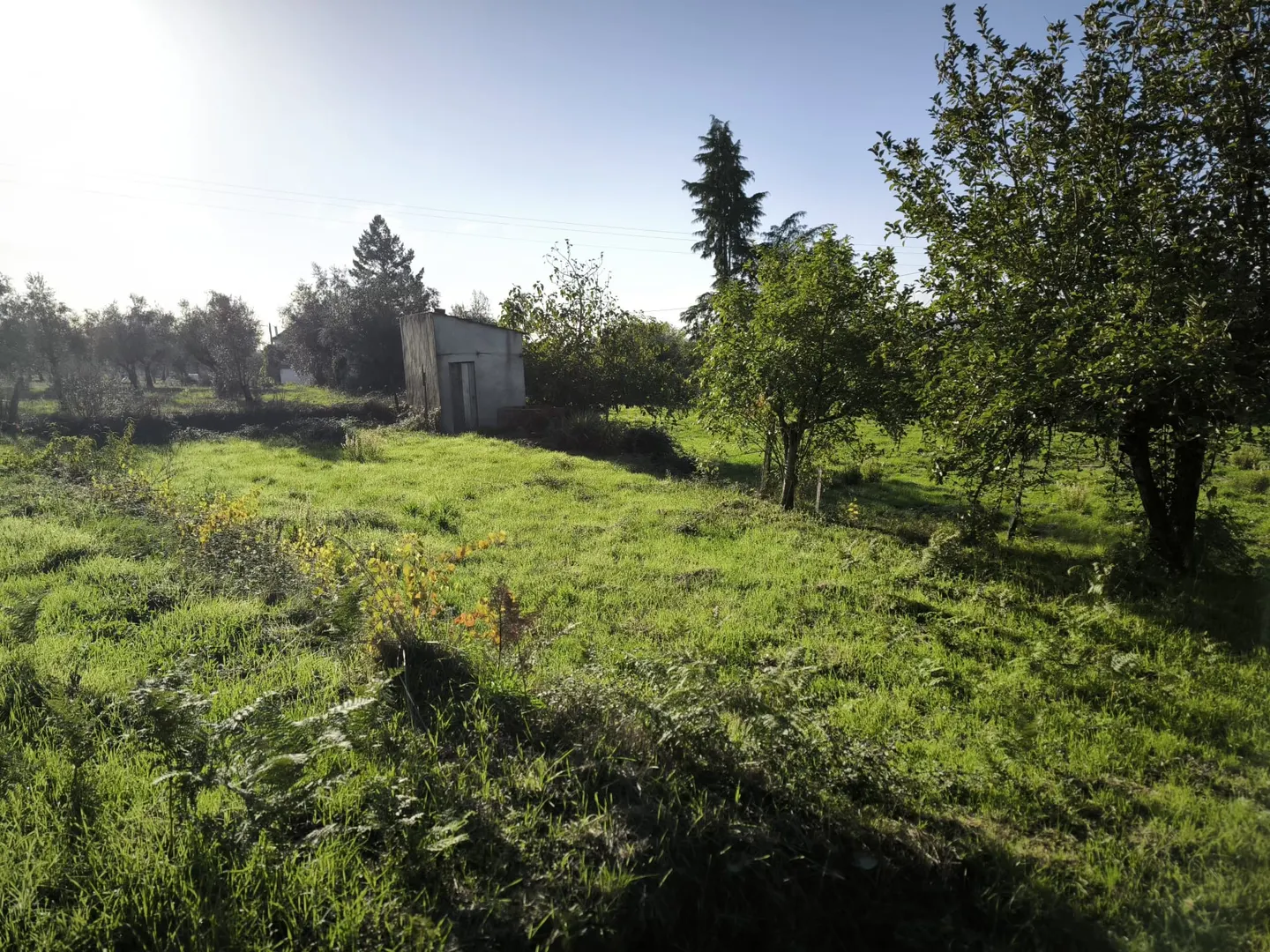 Terreno