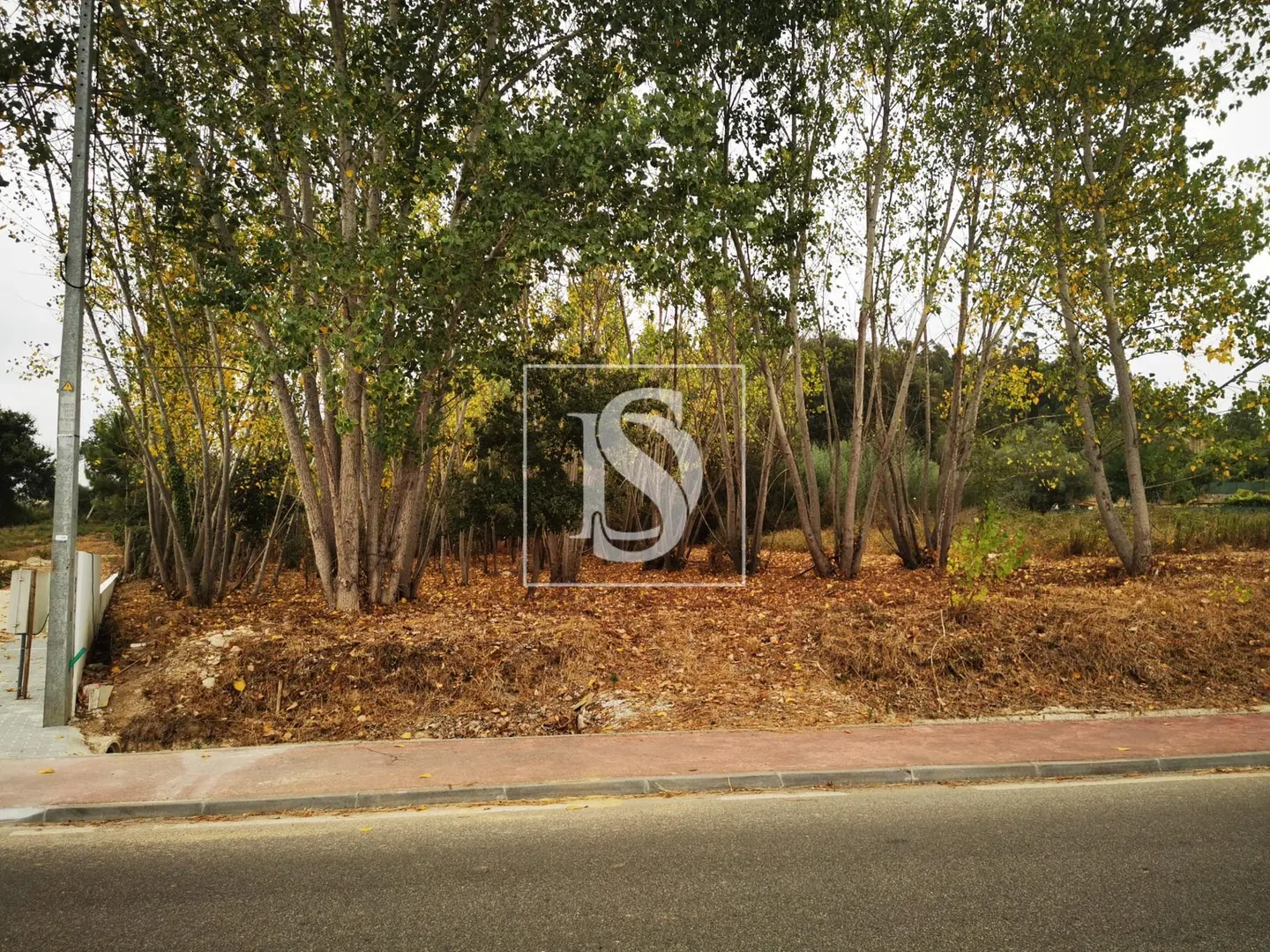 Terreno