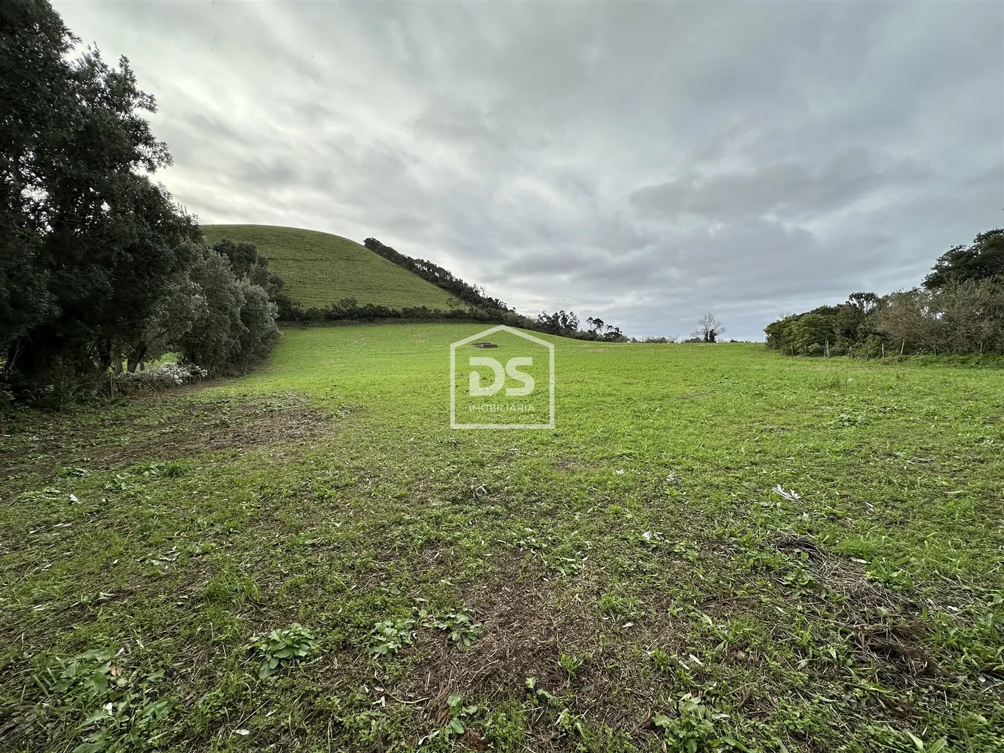 Terreno Rústico