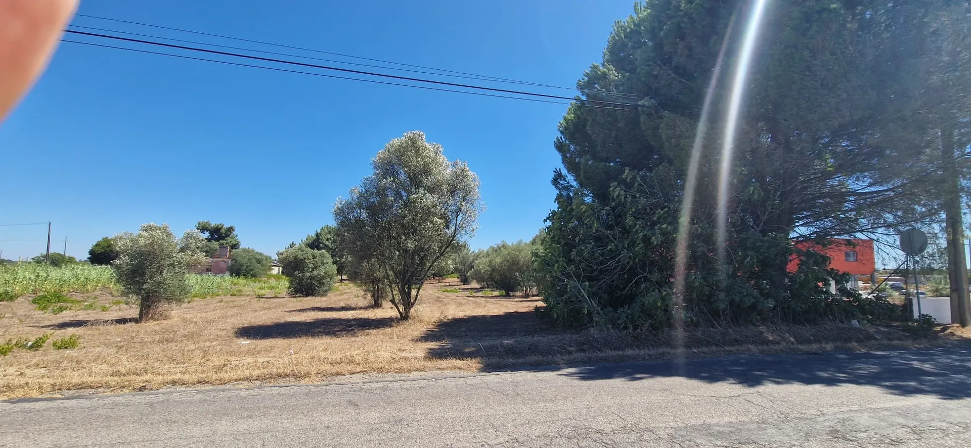 Terreno