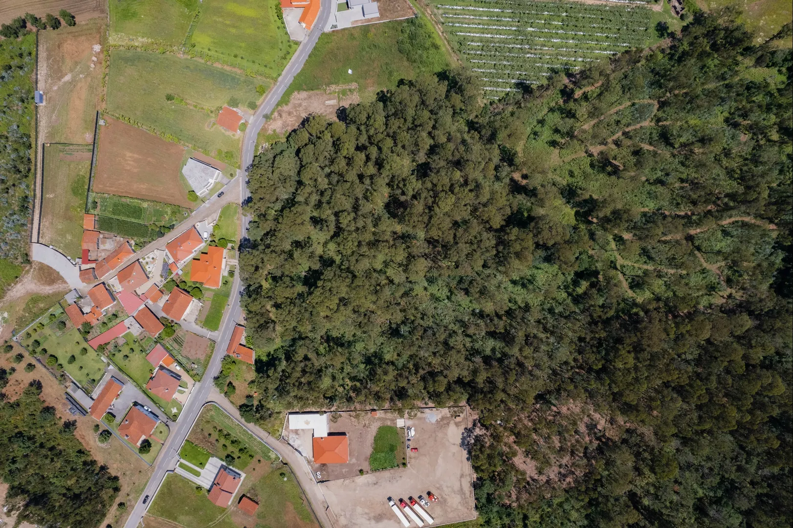 Terreno