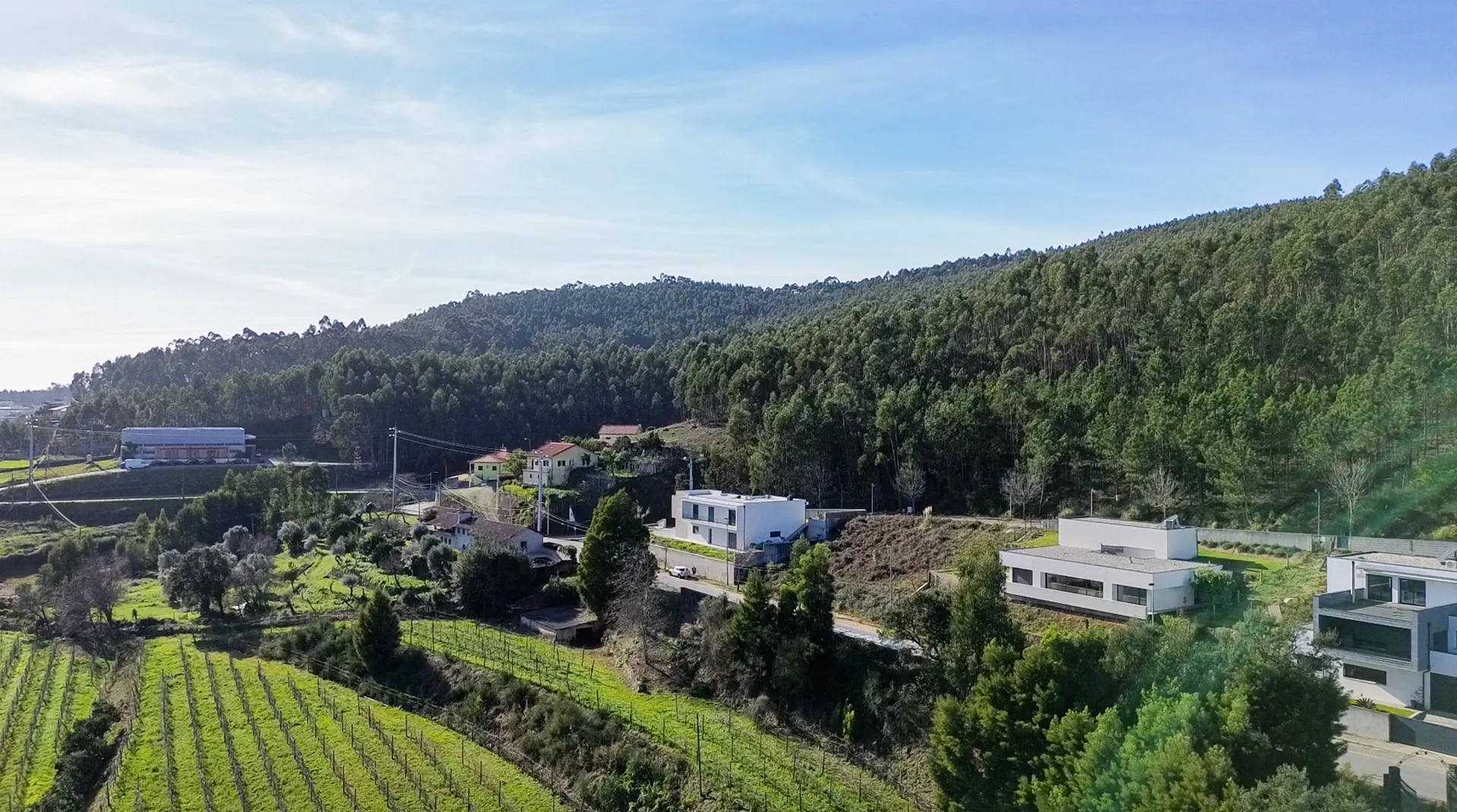 Terreno