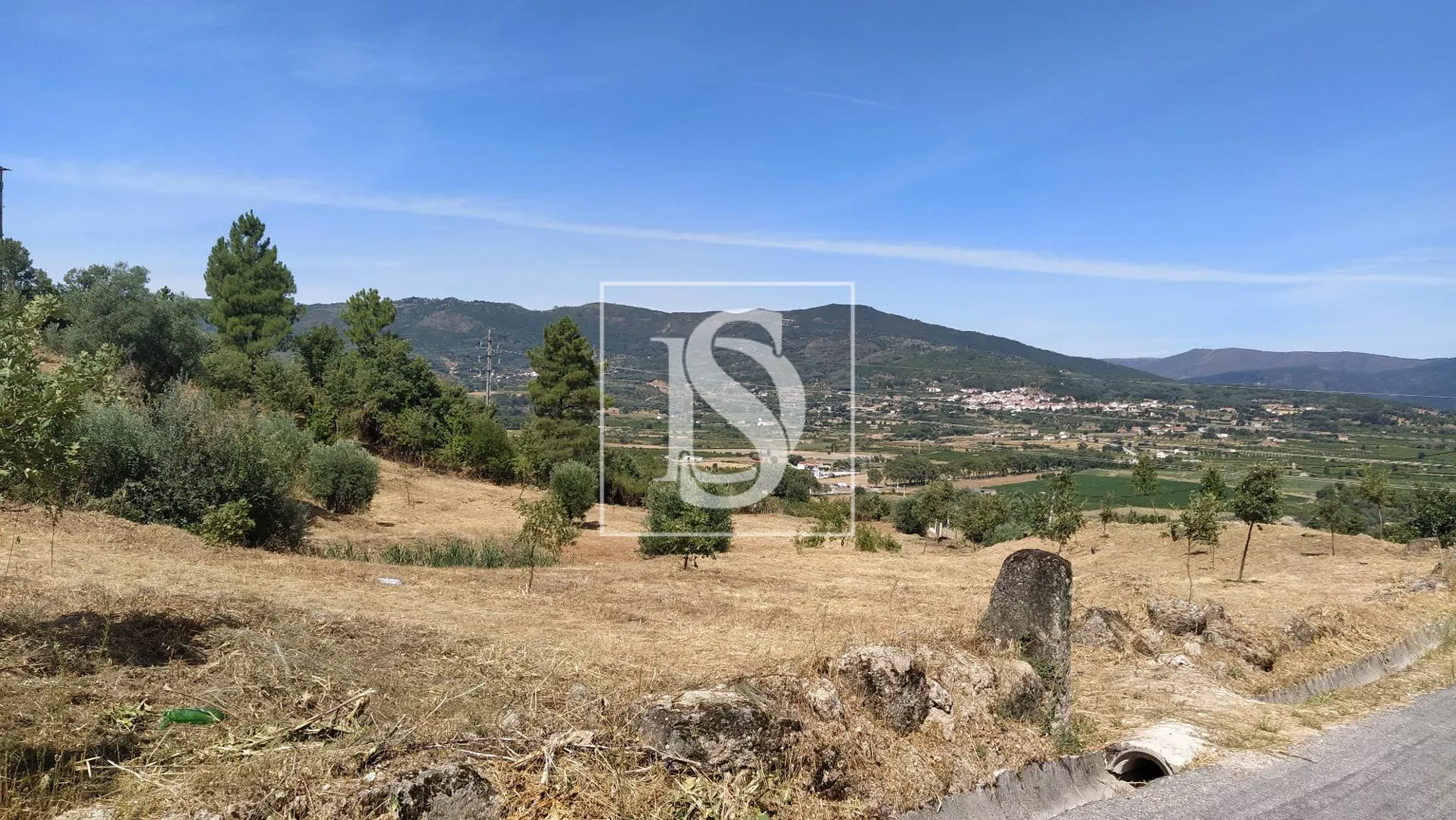 Terreno