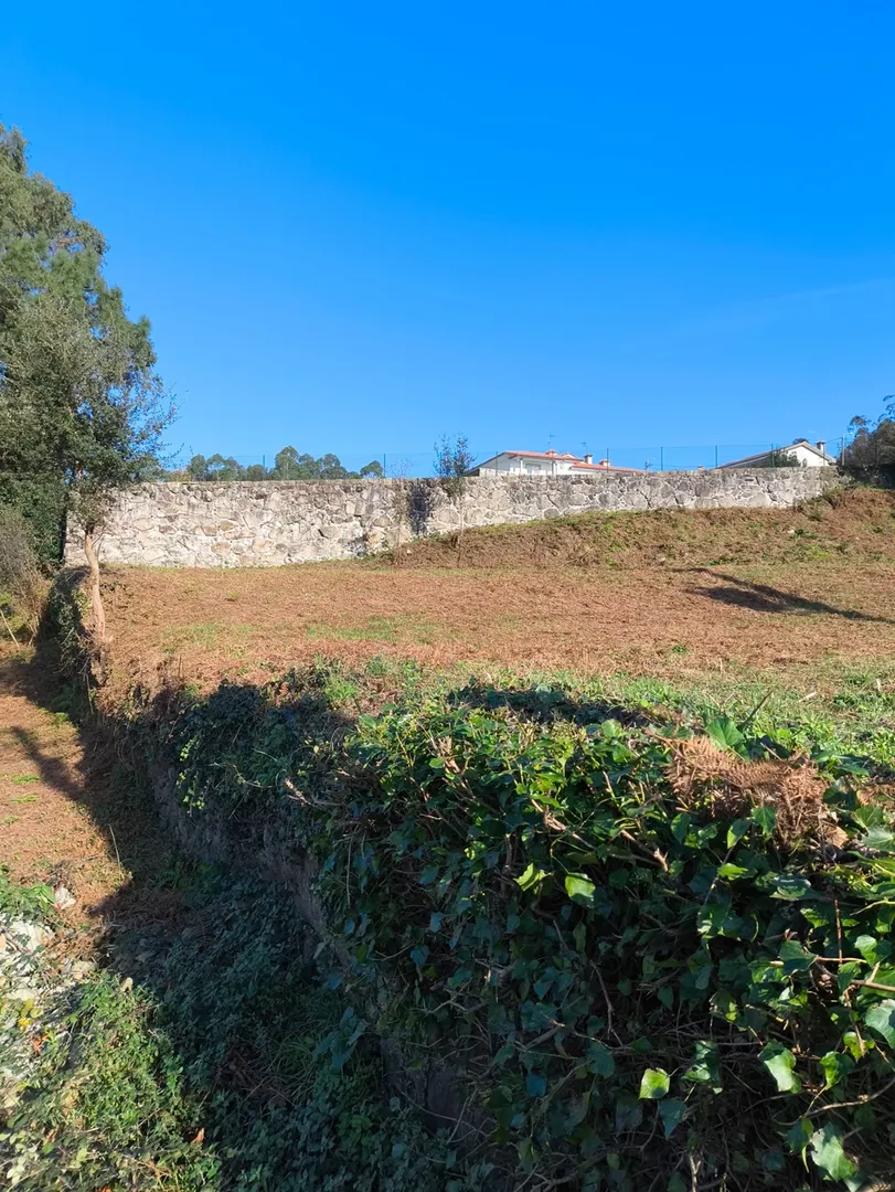 Terreno