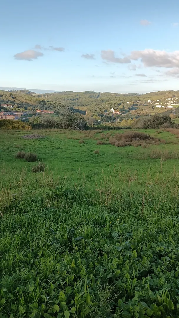 Terreno