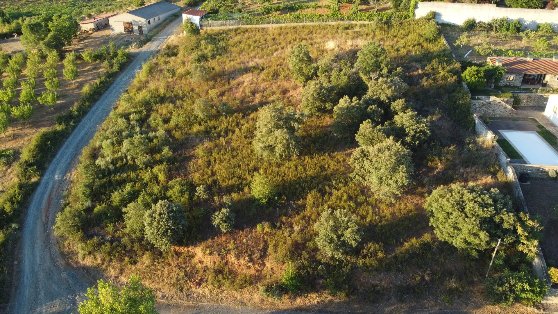 Terreno