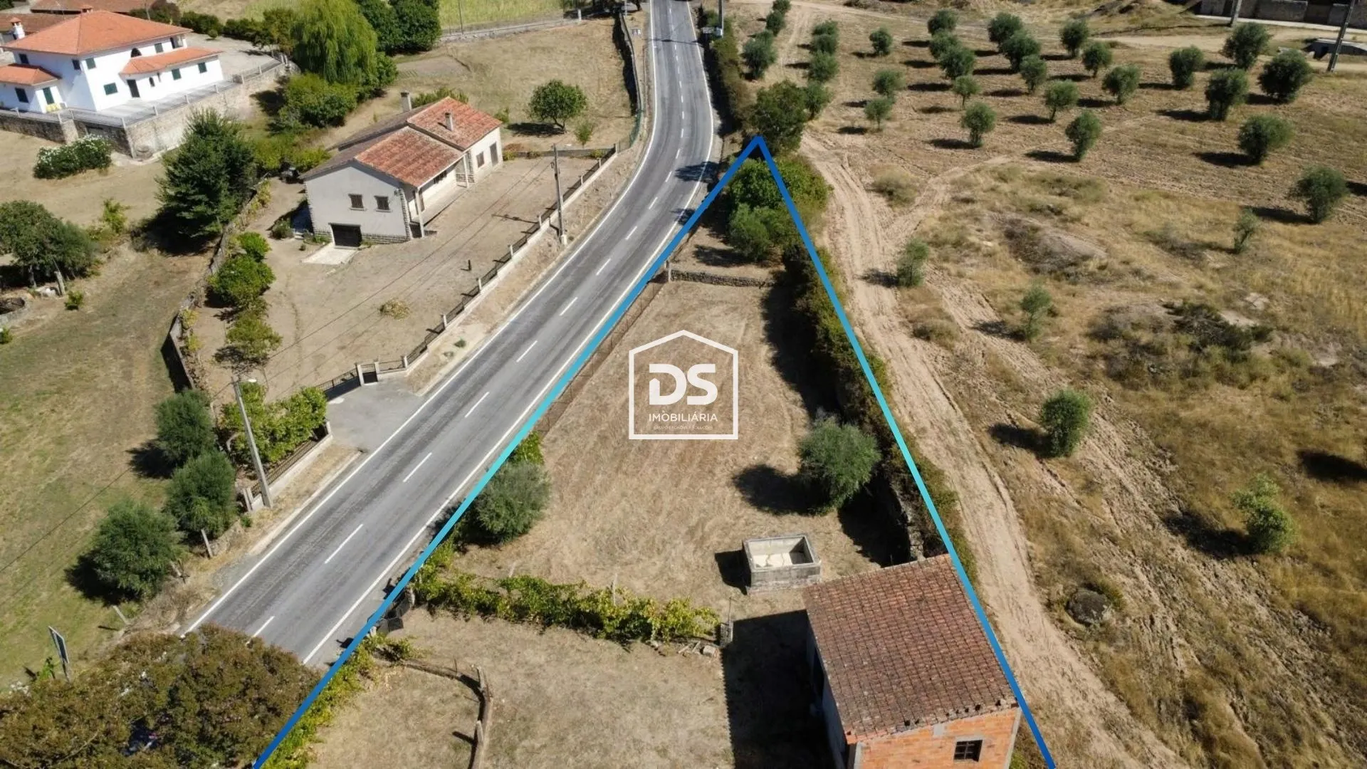 Real Estate