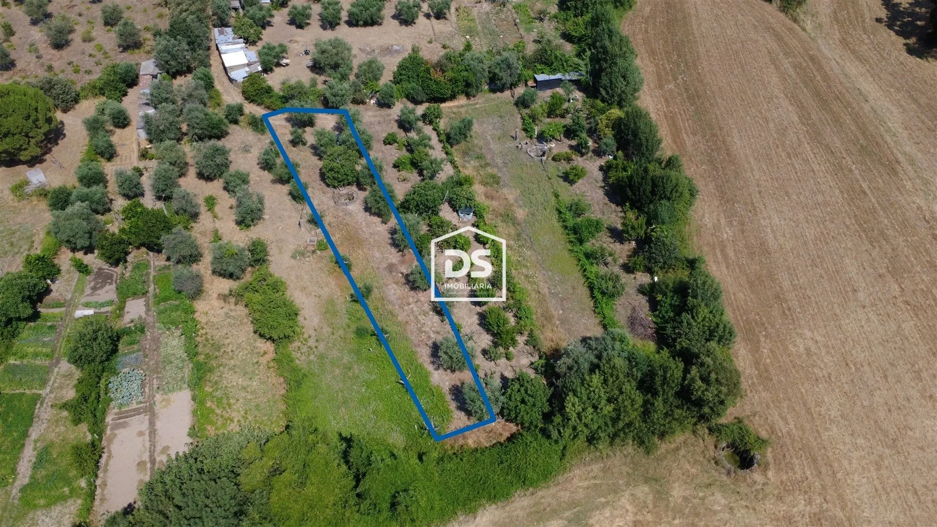 Terreno Rústico