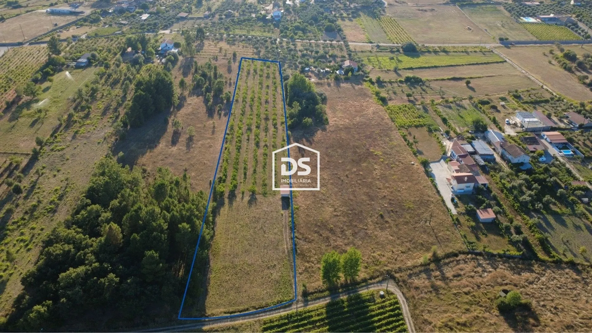 Farm
