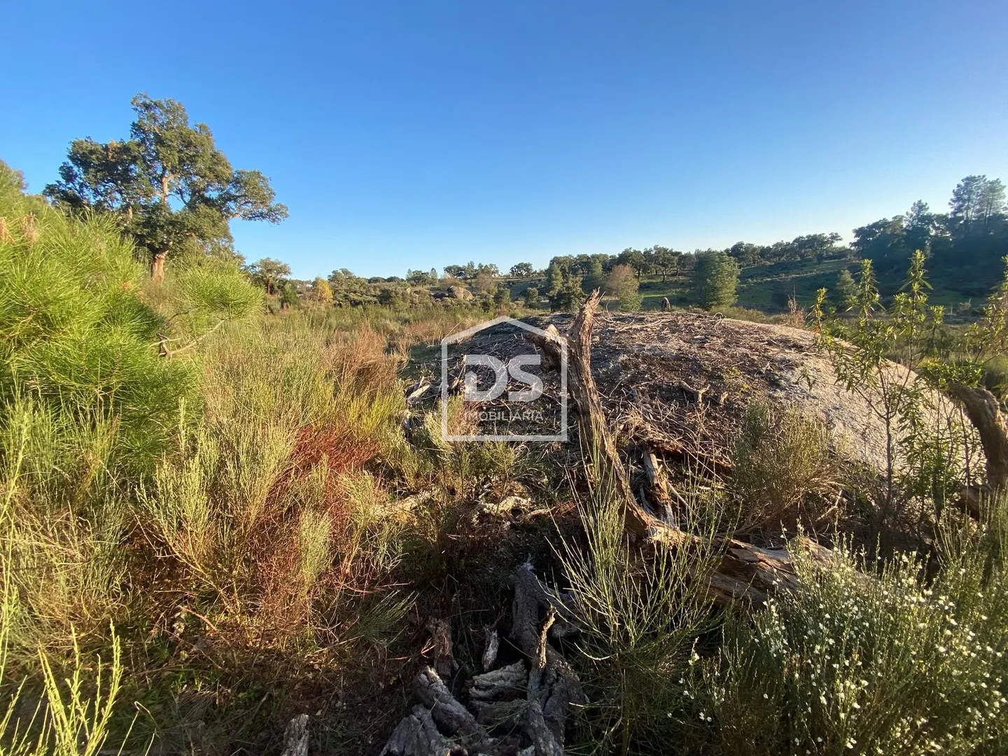 Terreno Rústico