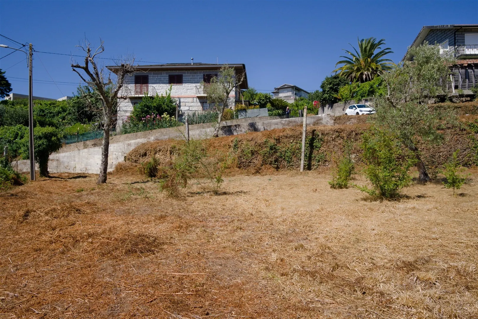 Terreno