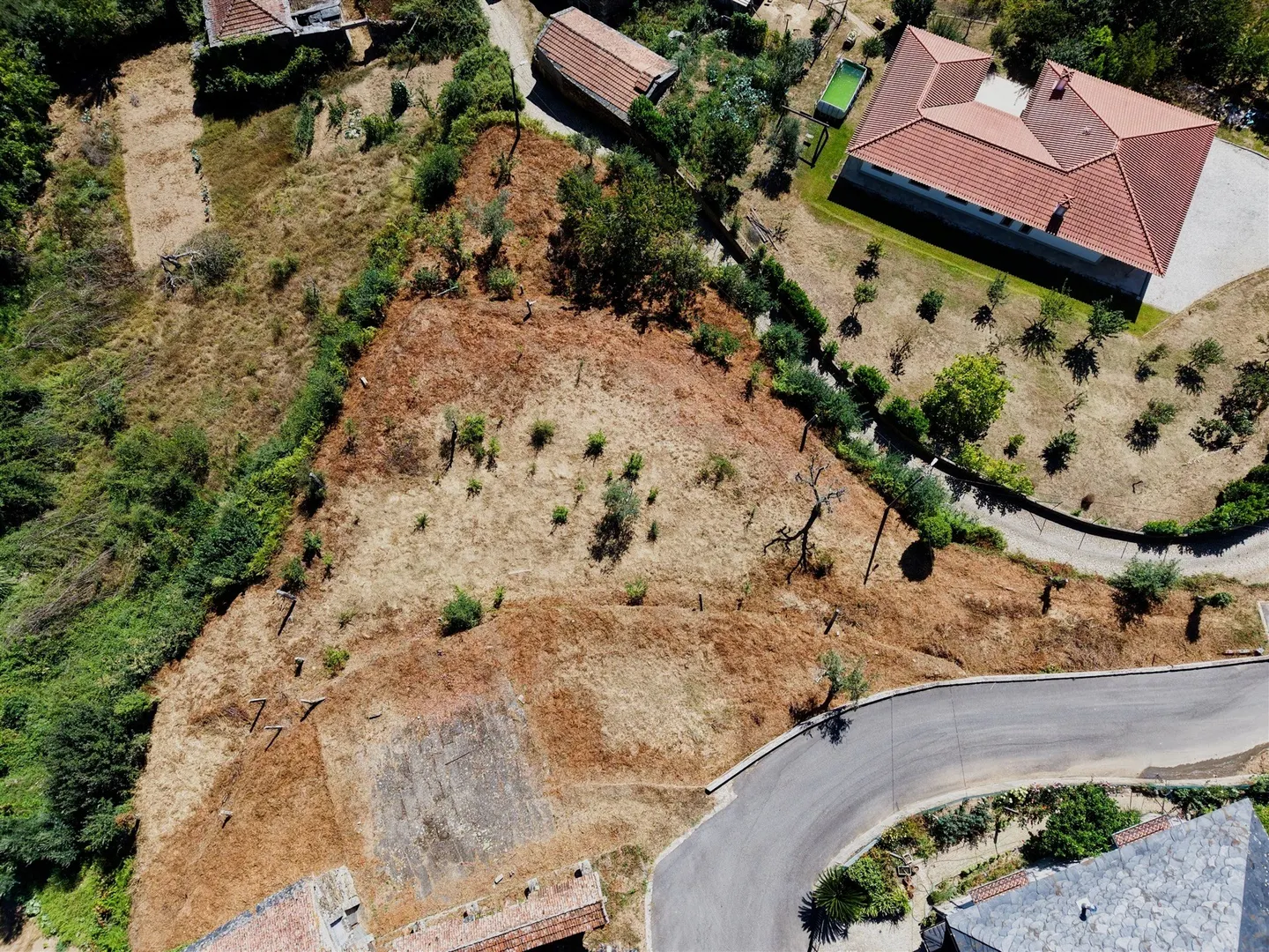 Terreno
