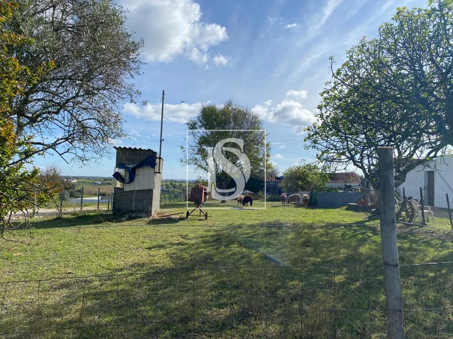Terreno