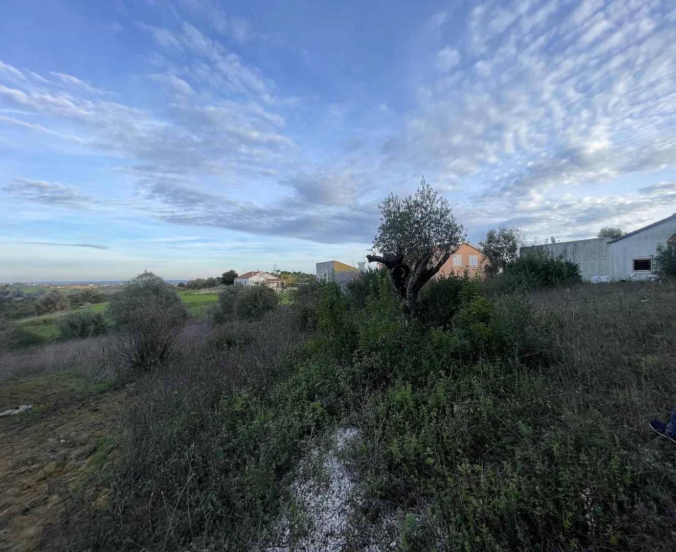 Terreno