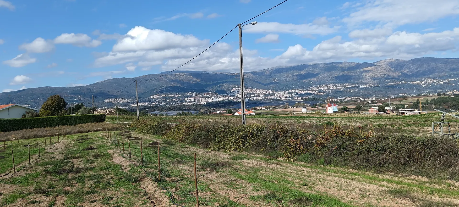 Terreno