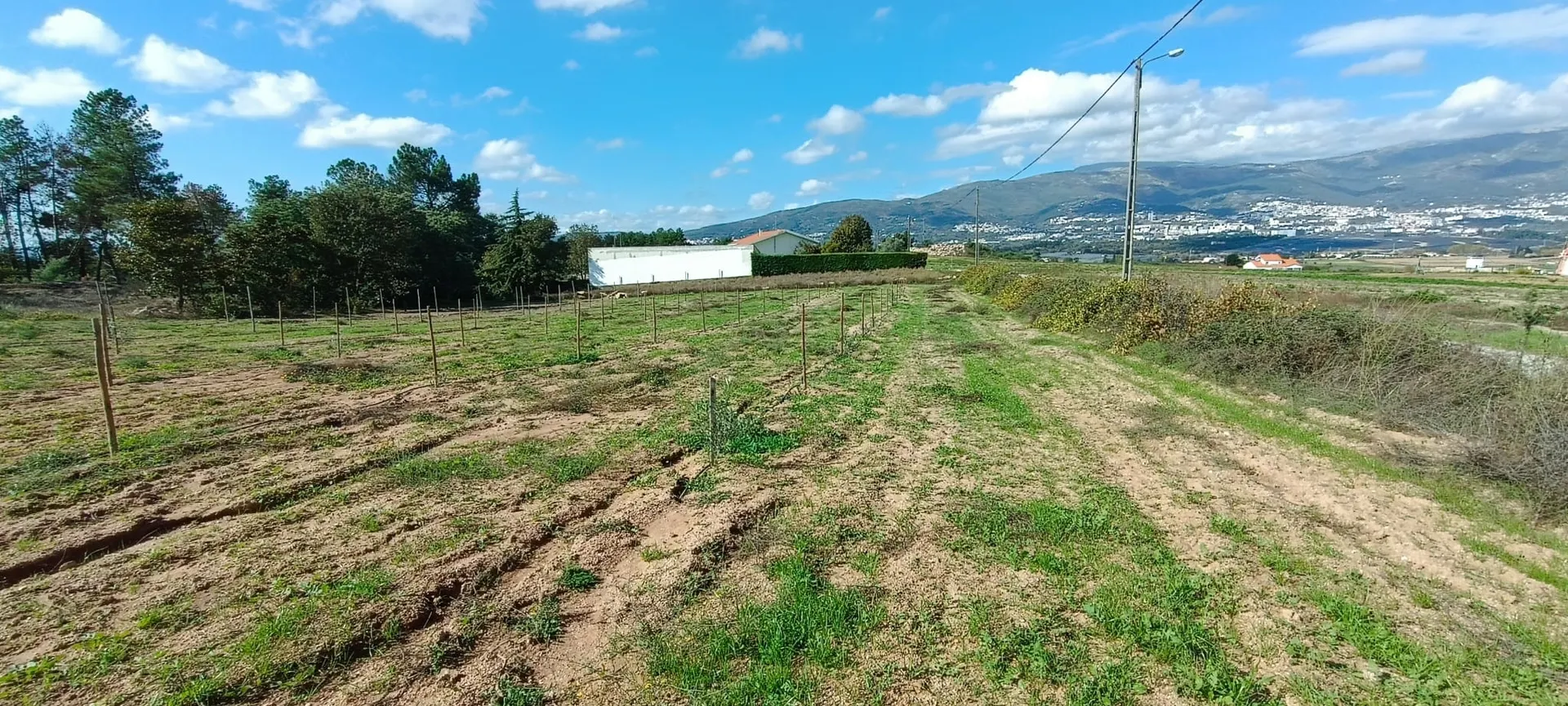 Terreno