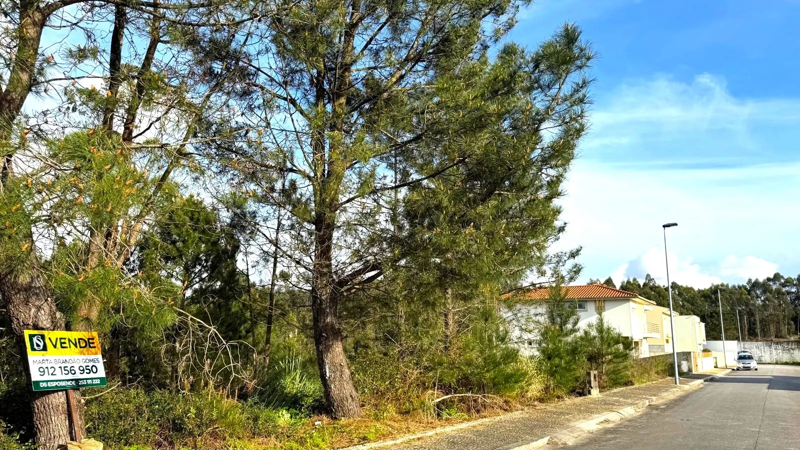 Terreno