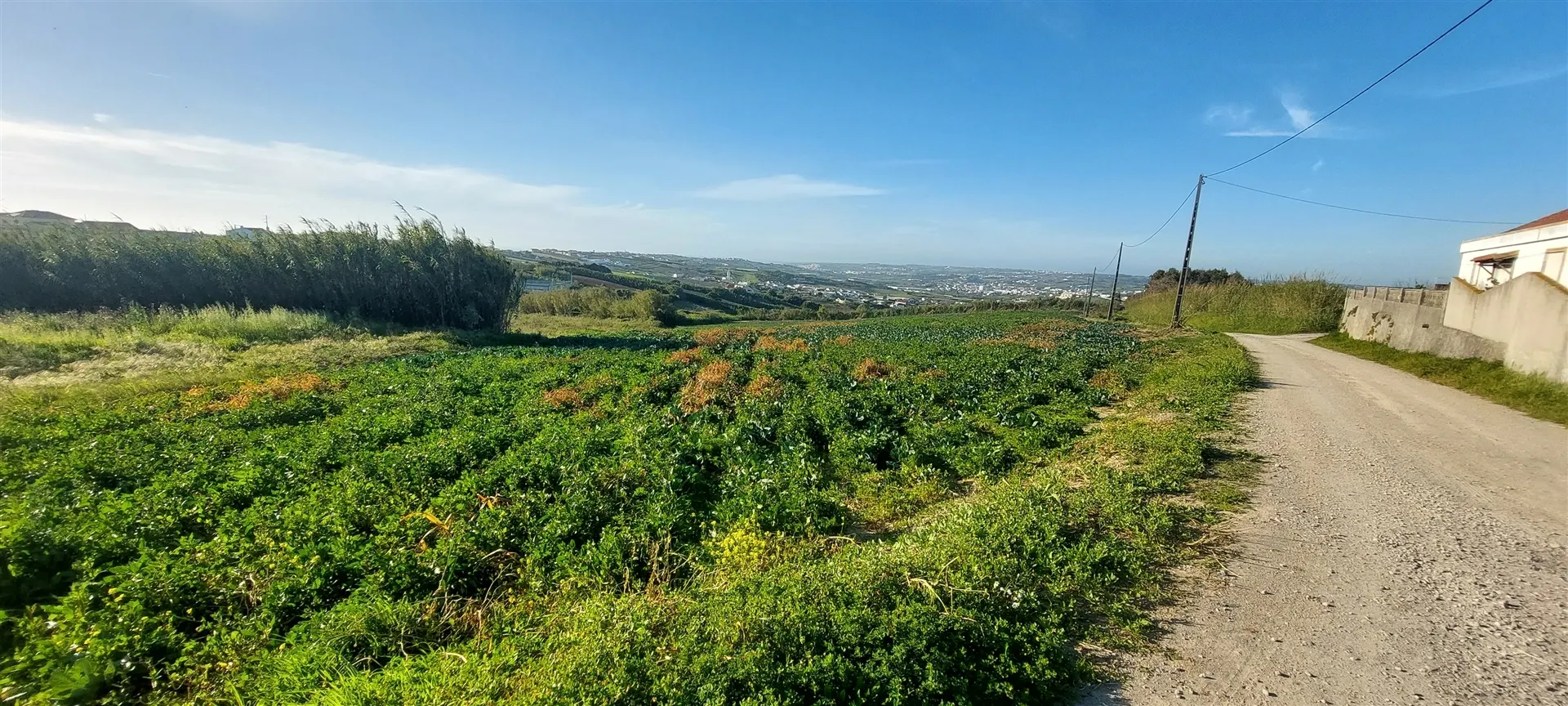 Terreno Rústico com Excelente Potencial Agrícola – Localização Privilegiada