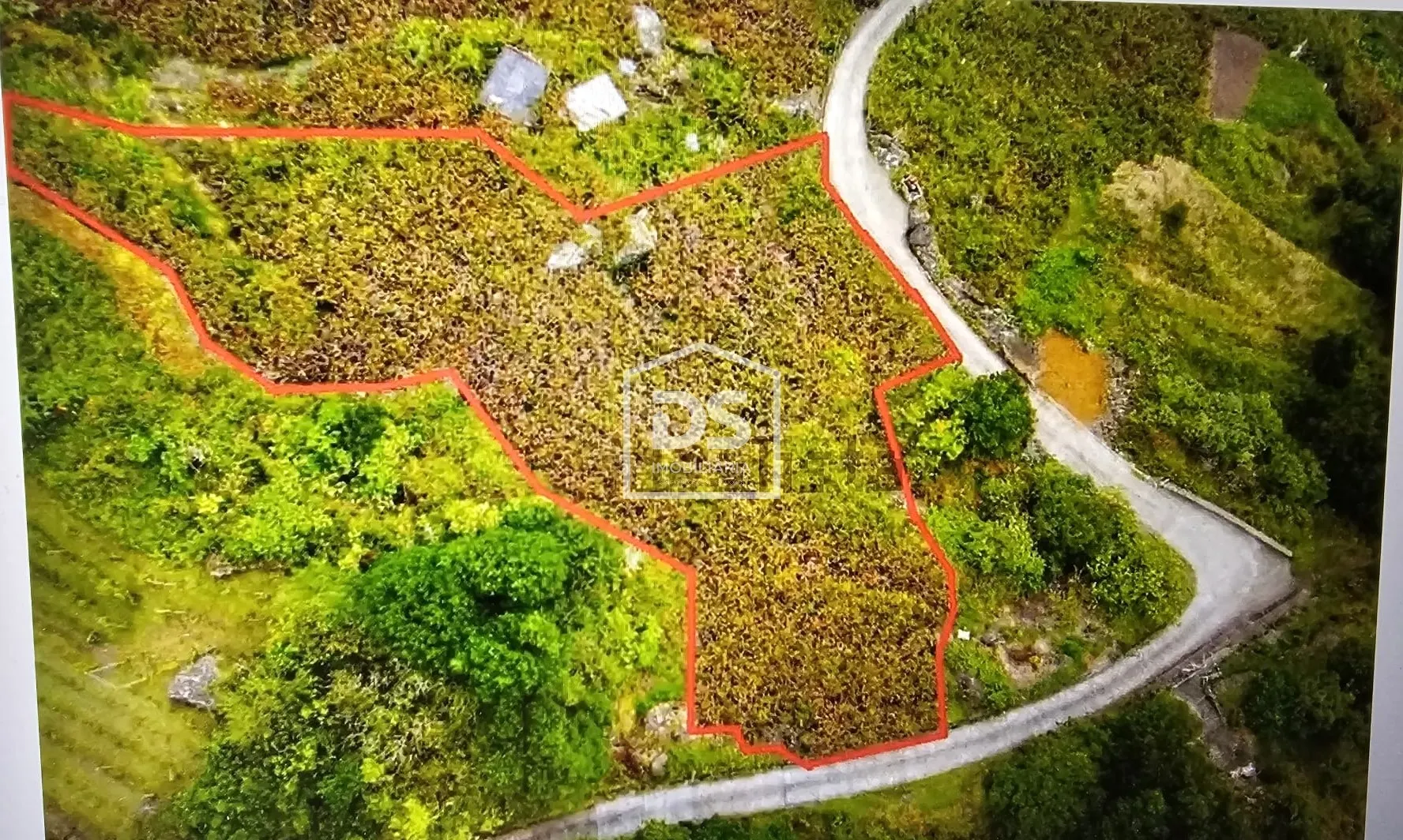 Terreno