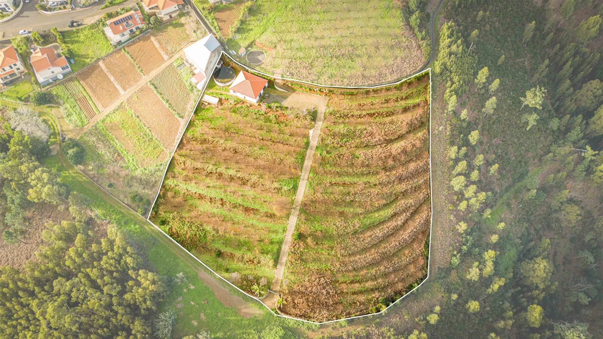 Terreno
