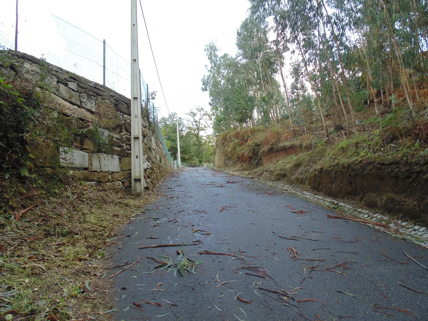 Terreno