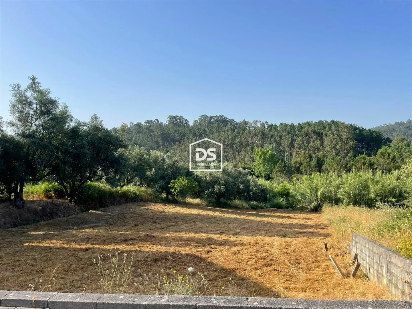 Real estate land