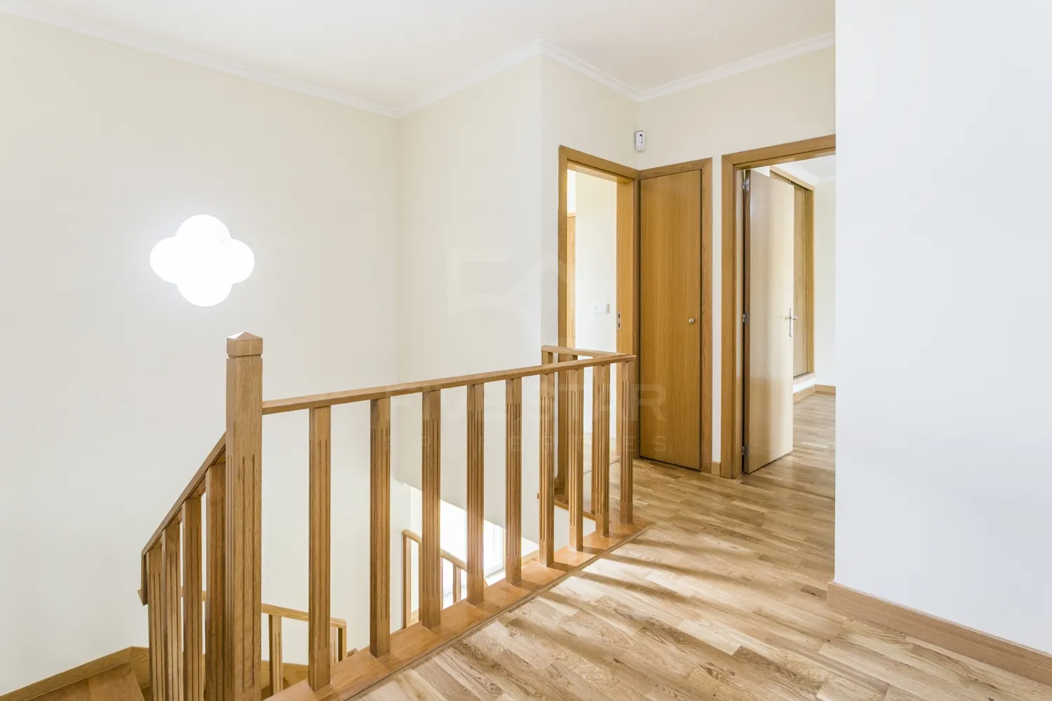 img_19