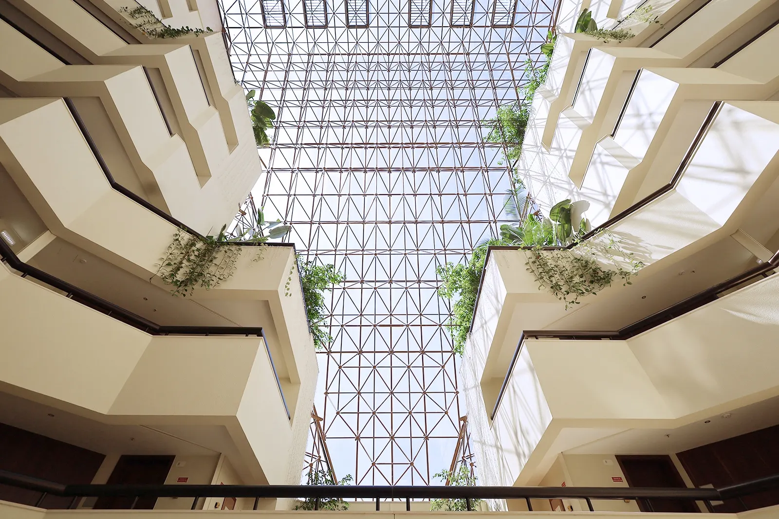 img_6