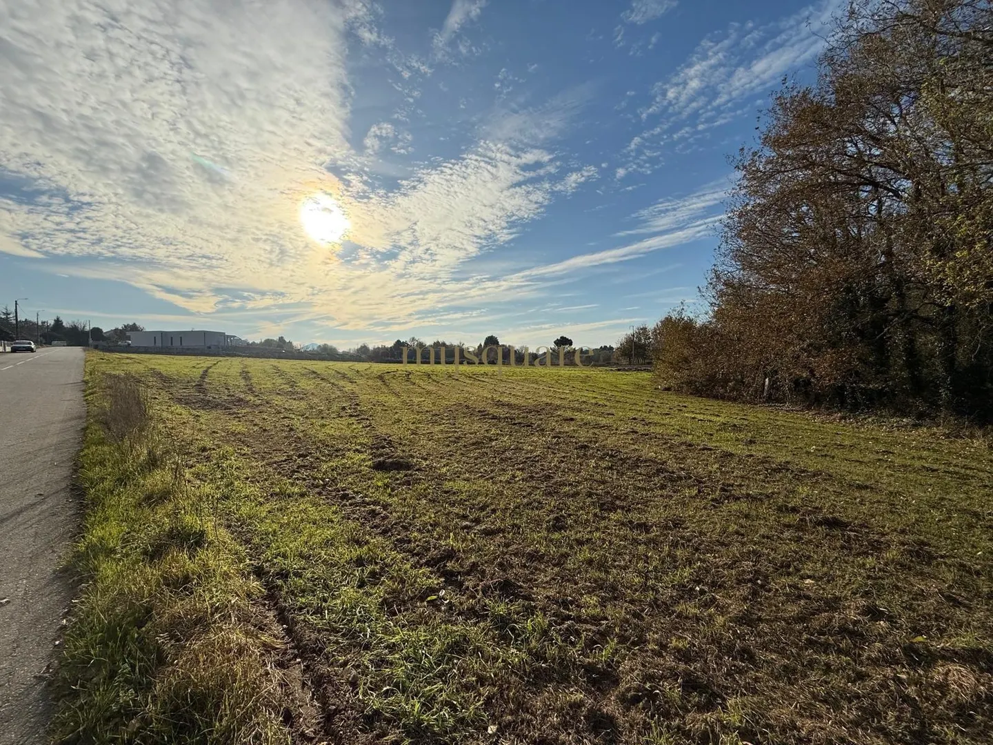 img_0