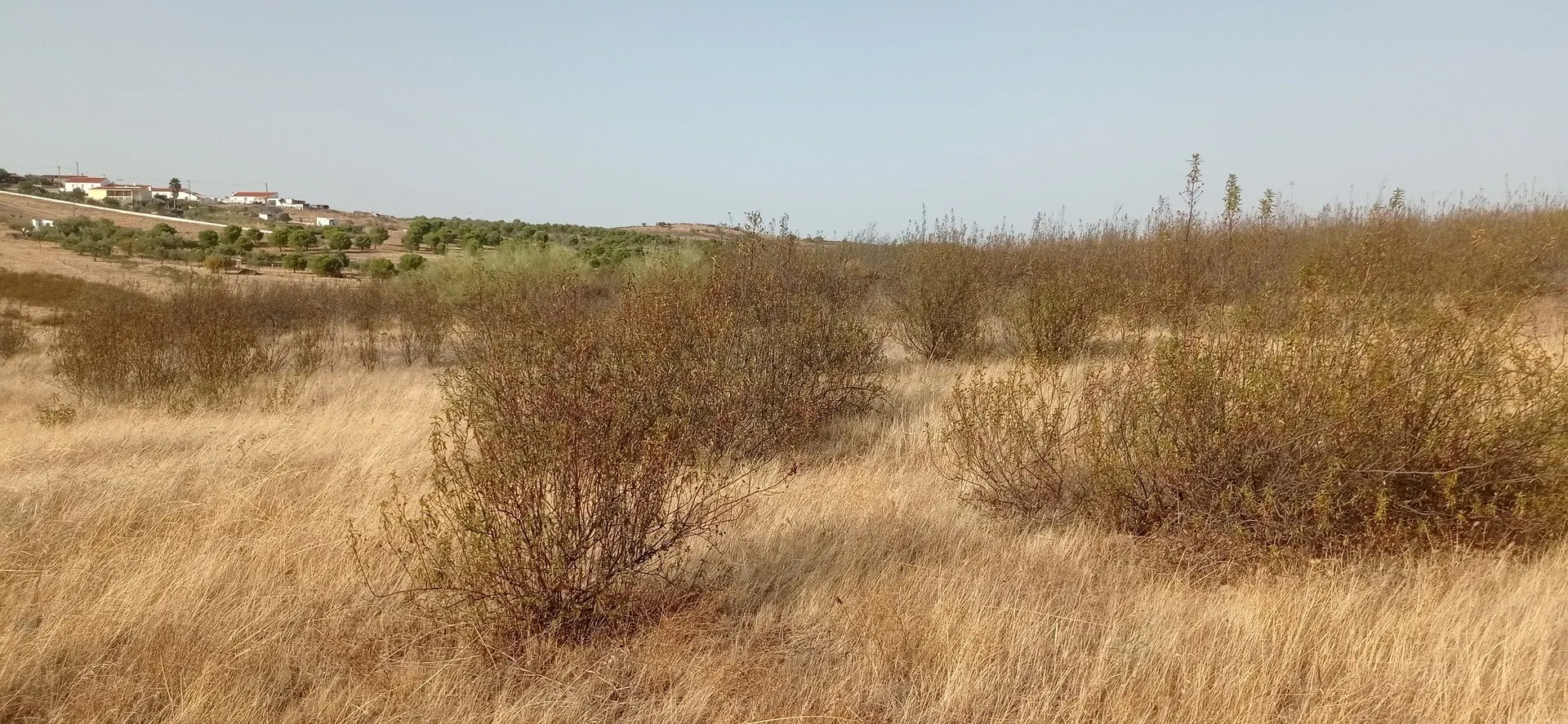img_10