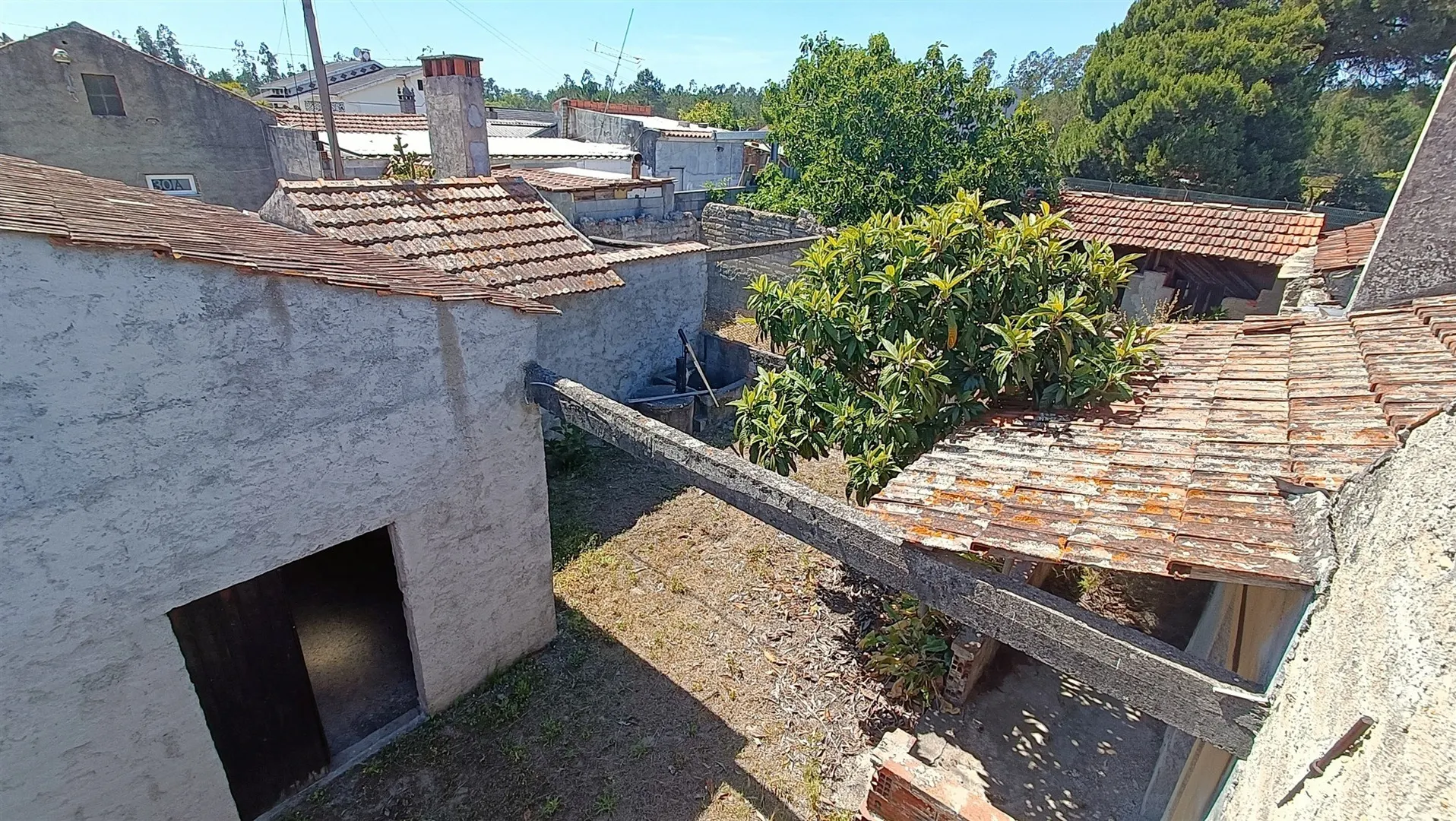 img_65